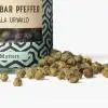 Grüner Malabar Pfeffer Nahaufnahme von Glas und Pfefferkörnern